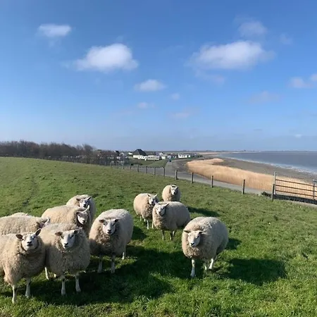 Traumlage Wattenmeer: Luxus-chalet Mit Meerblick * Westerland