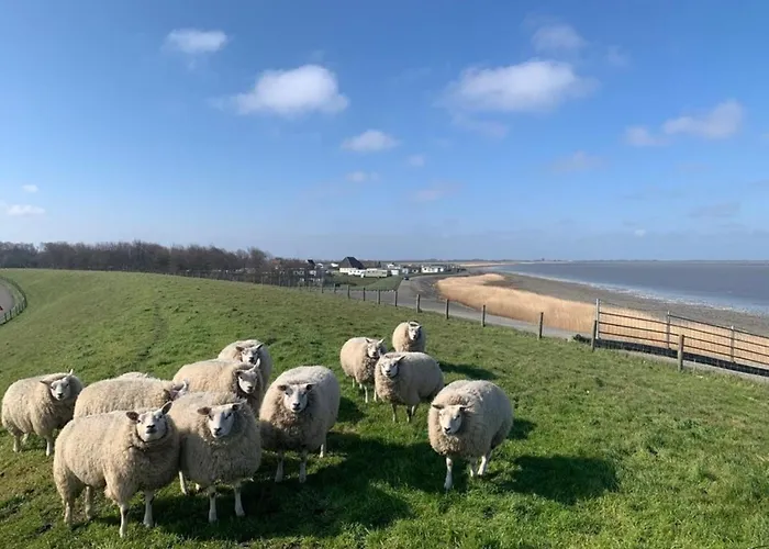 Traumlage Nr 59 5 Meter Direkt Am Wattenmeer Erste Reihe Luxus Unendliche Weite, Eingebettet In Der * Westerland